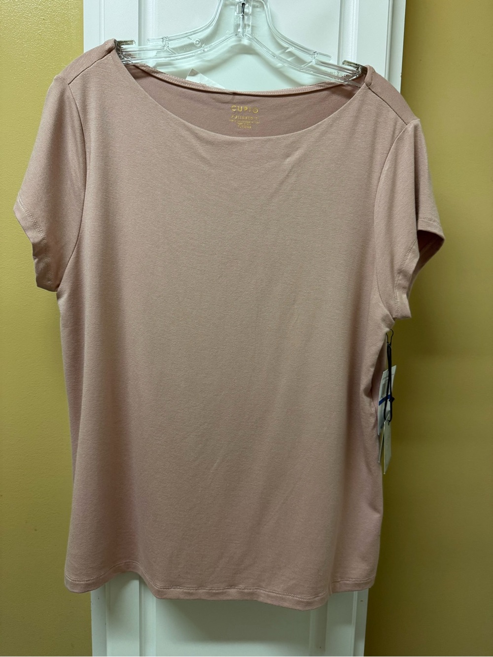 Cupio Short Sleeve Scoop Neck Tee in Dusty Blush